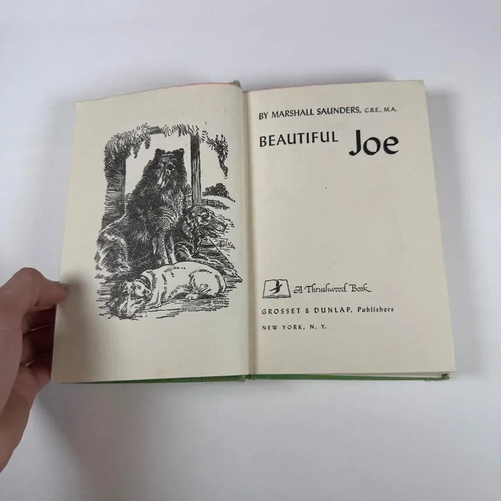 Beautiful Joe by Marshall Saunders 1920 Antique book